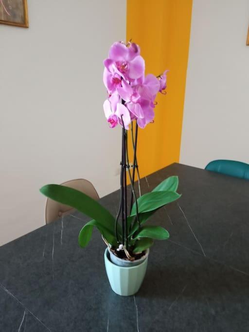 A Casa Di Gi Bed & Breakfast Porto Torres Dış mekan fotoğraf