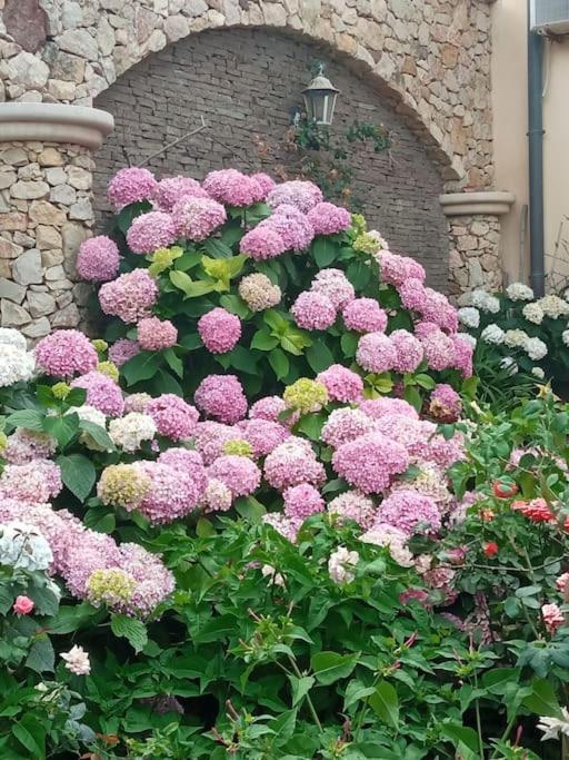 A Casa Di Gi Bed & Breakfast Porto Torres Dış mekan fotoğraf